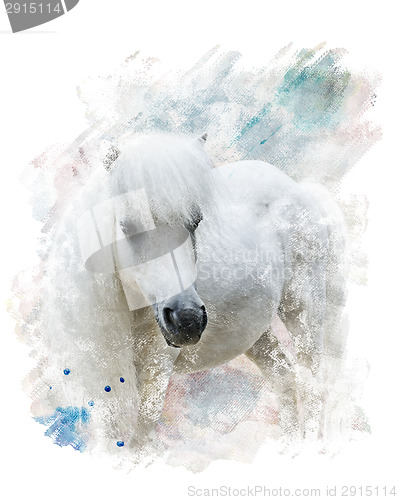 Image of Watercolor Image Of  White Pony