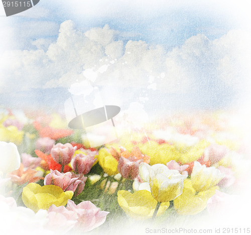 Image of Background With  Clouds And Tulips