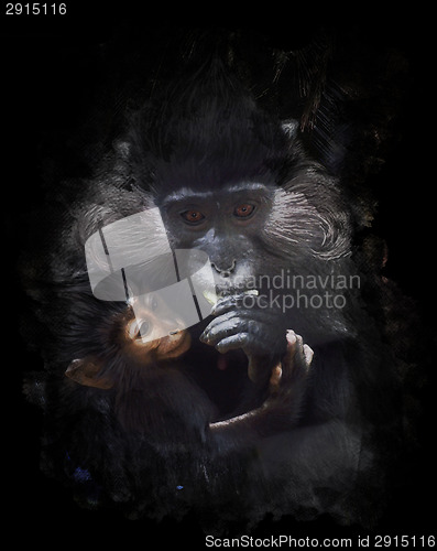 Image of Watercolor Image Of Mother And Baby Monkey