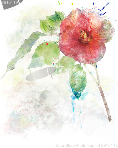 Image of Watercolor Image Of  Hibiscus Flower
