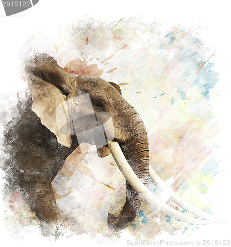 Image of Watercolor Image Of  Elephant