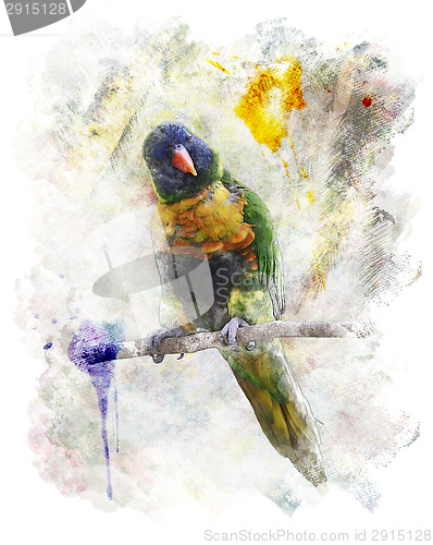 Image of Watercolor Image Of Parrot (Rainbow Lorikeet)