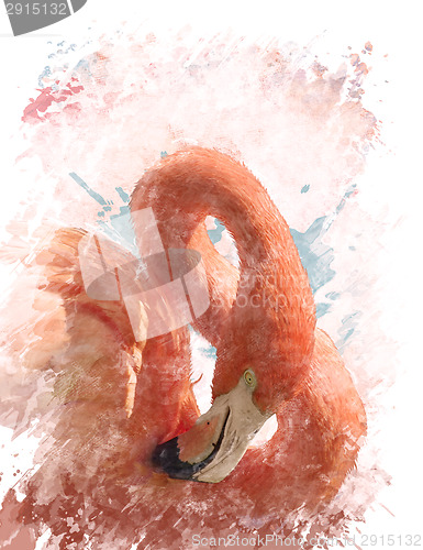 Image of Watercolor Image Of  Flamingo Bird