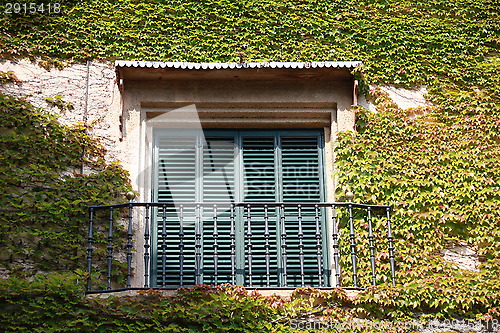 Image of house with ivy