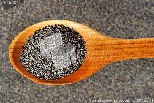 Image of Poppy seeds