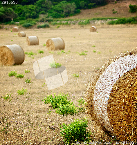 Image of Straw Bales