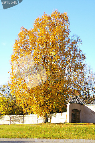 Image of Fall colors