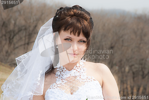 Image of Portrait beautiful bride