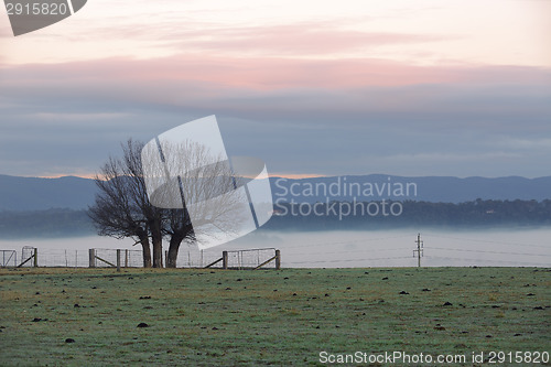 Image of Foggy winter morning countryside and tree silhouette