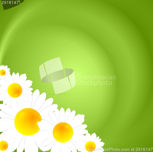 Image of Green summer nature background