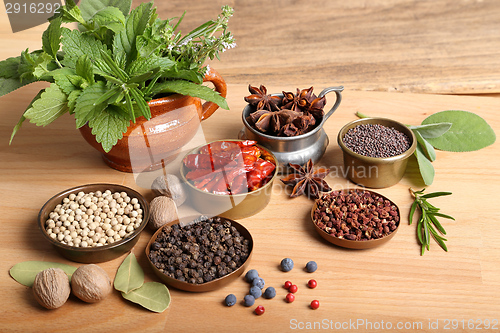 Image of Herbs and spices.