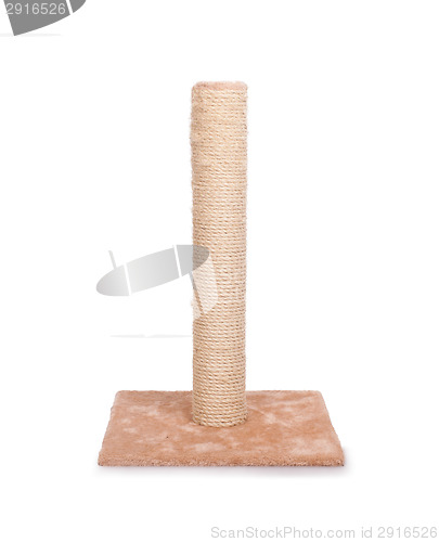 Image of Cat scratching post