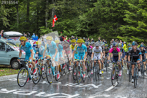 Image of The Peloton