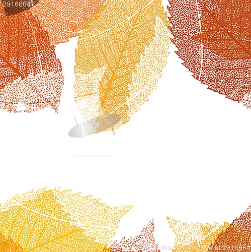 Image of Dry autumn leaves template. EPS 10