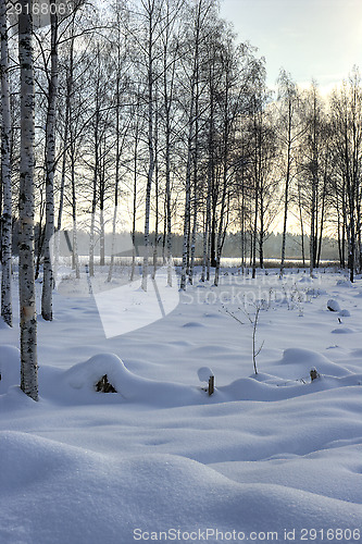 Image of Winter