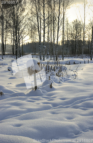 Image of Winter