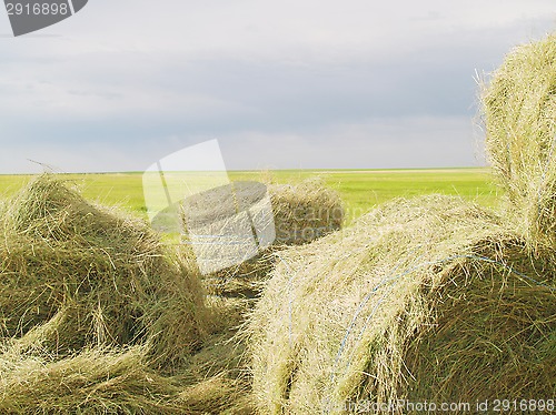 Image of hay bales