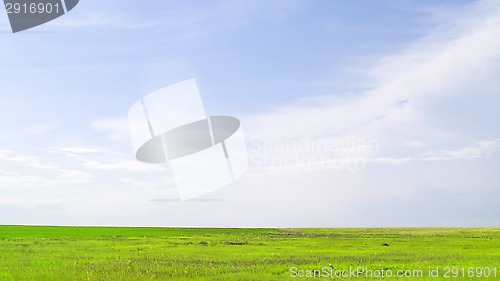 Image of summer landscape