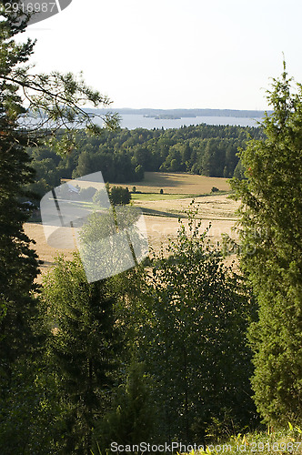 Image of Landscape