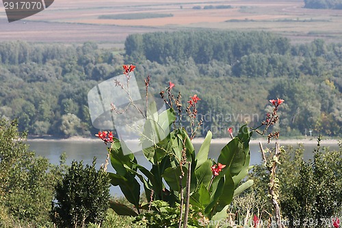 Image of Landscape
