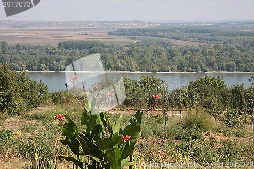 Image of Landscape