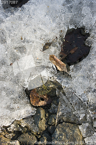 Image of Frozen