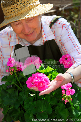 Image of Senior woman gardening