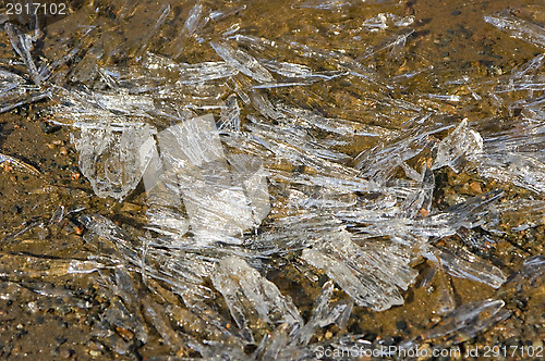 Image of Ice shales