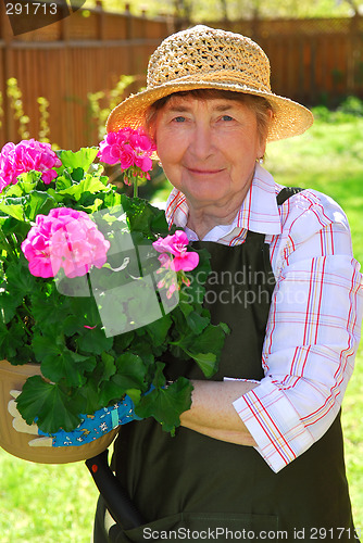 Image of Senior woman gardening