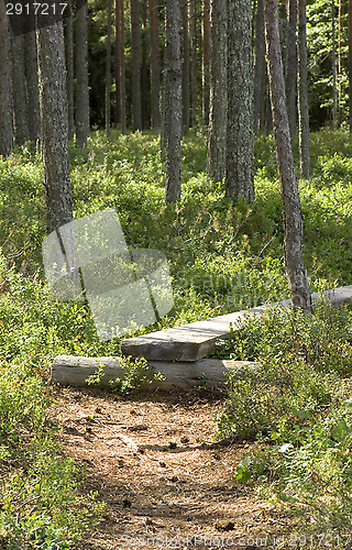 Image of Boardwalks