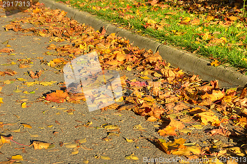 Image of Autumn colors