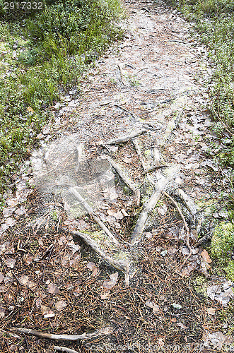 Image of Frozen path