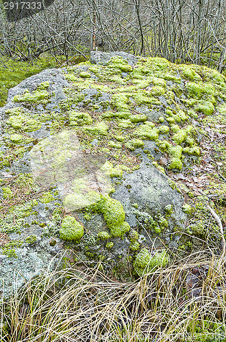 Image of Stone