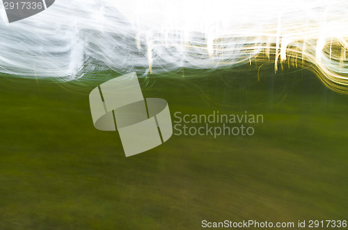 Image of Forest