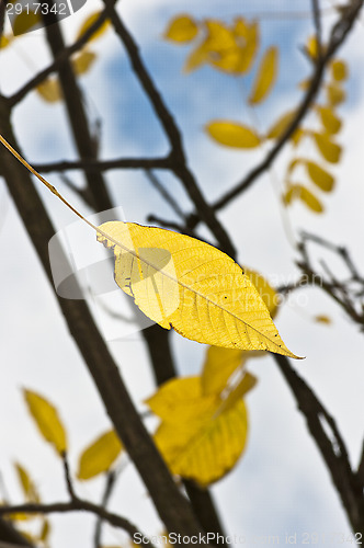 Image of Autumn colors