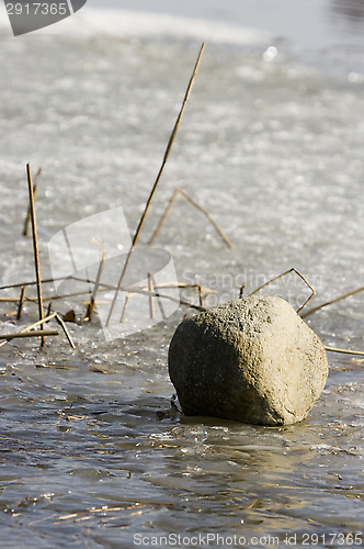 Image of Rock