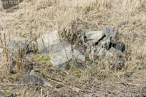 Image of Rocks