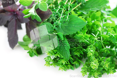 Image of Assorted herbs