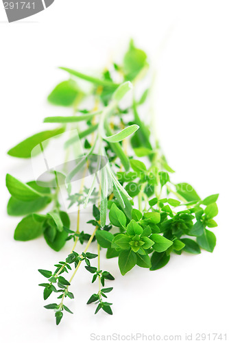 Image of Assorted herbs