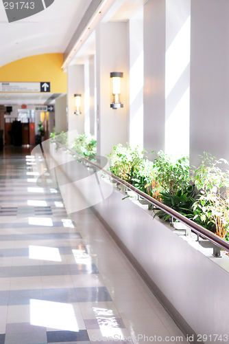 Image of Hospital corridor