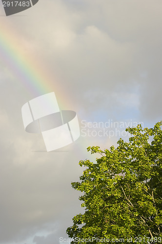 Image of Rainbow