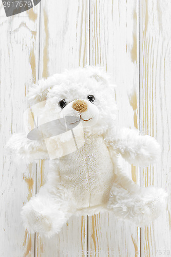 Image of Teddy bear