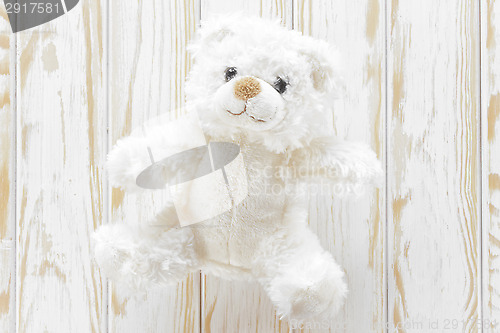 Image of Teddy bear