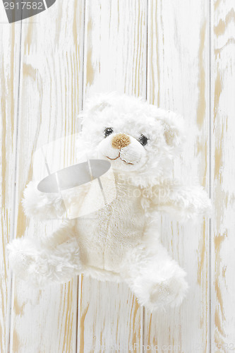Image of Teddy bear