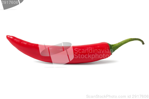 Image of Red hot chili pepper