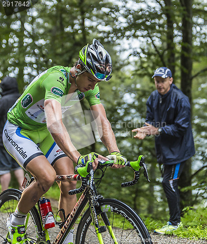 Image of Green Jersey - Peter Sagan