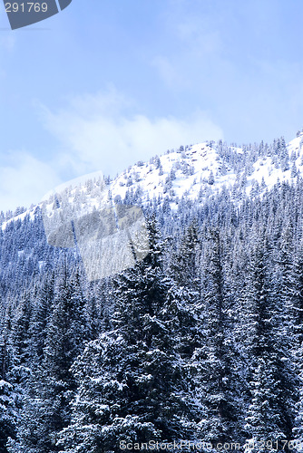 Image of Winter mountain