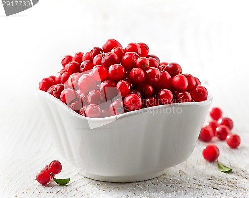 Image of bowl of fresh cowberries