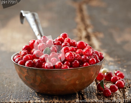 Image of bowl of fresh cowberries