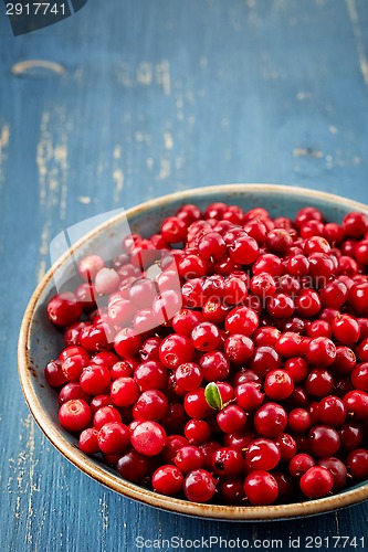 Image of bowl of cowberries